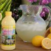 Key West Lemon Juice, 12 X 16 oz - Image 2